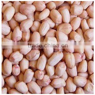 2012 new crop baisha peanut kernels in China