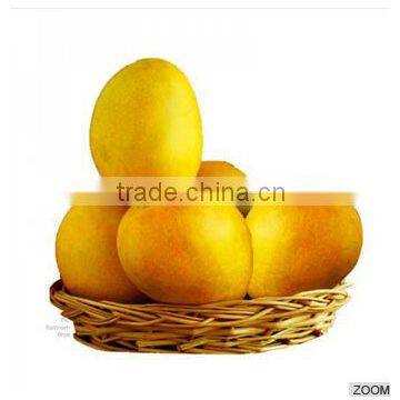 Fresh Alphonso Mangoes photo-2