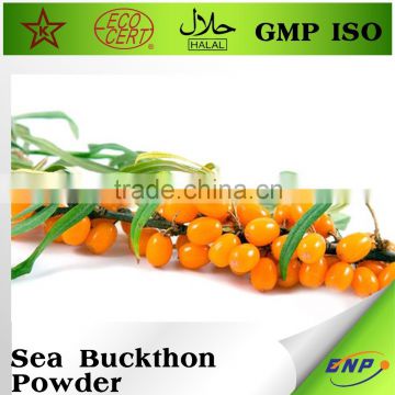 100% nature sea buckthorn berries Powder