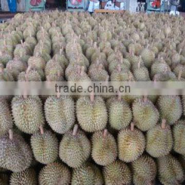 Durian monthong