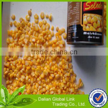 Canned Sweet Corn 24*340g photo-4
