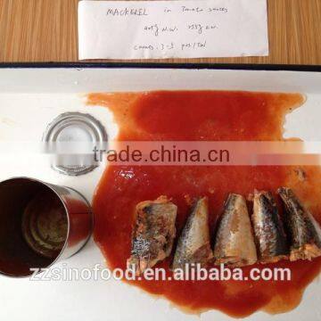 Wholesale Canned Food Canned Mackerel in Tomato Sauce