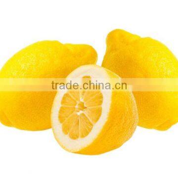 Citrus Aurantium Extract 98% Limonin photo-3