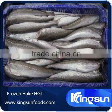 Frozen canadian hake HGT fish seafood supplier in china