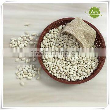 JSX Medium Size White Kidney Beans Square Shape Promotiion Price Hot Sale