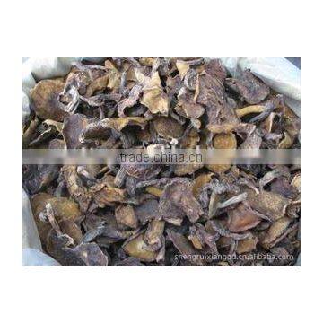 Fresh ,frozen ,dreid Oyster Mushromm Best Price photo-3