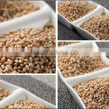 Light Brown Sesame Seeds