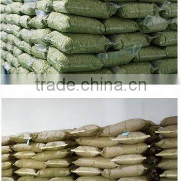 Organic Pumpkin Kernels Grow Without Shell for Oil Use photo-3