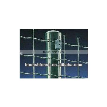 holland wire mesh (garden fence)