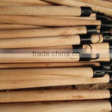 Dry Natural Broom Handle Wood Factory in Vietnam photo-2