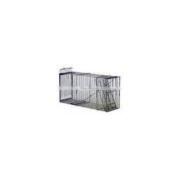 welded galvanized metal mesh fox trap/cage