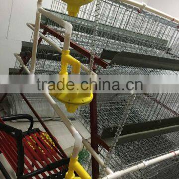 Wholesale Small Animal Cages for Automatic Chicken Cage photo-4