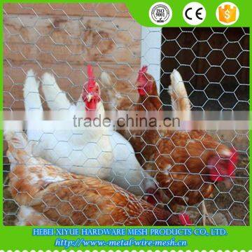 1/4 inch lowest price chicken wire mesh