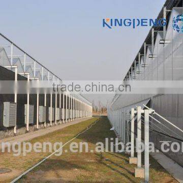 PC Sheet Greenhouses photo-4