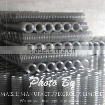 Electro Galvanized Welded Mesh photo-3