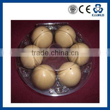 PP PS PE PET EGG Egg Tray Making Machine photo-2