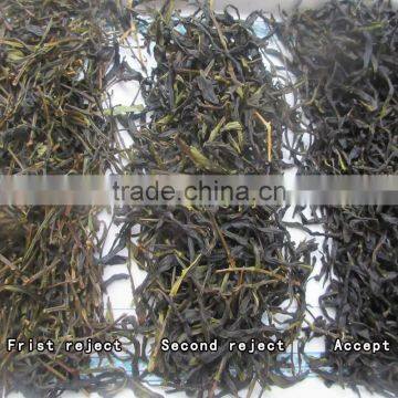 ZRWS 5388 CCD Camera High Accuracy Tea Colour Sorter photo-3