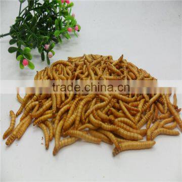 Microwave & Freeze Dried Tenebrio Molitor /Yellow Mealworms for Fish&bird photo-3