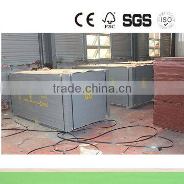 F17 Formwork Plywood for Australia Market photo-3
