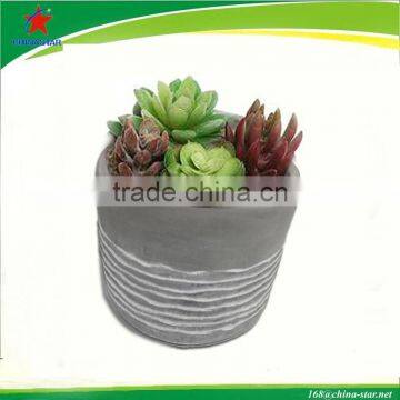round cement planter with succulents