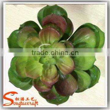 Factory Hot Sale Mini Ornamental Artificial Tropical Succulent Plants for Decoration