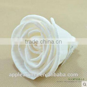 Begonia Sola Flower Aroma Diffuser With Reed or Cotton Rope photo-4