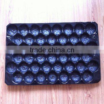 39*59cm Factory Supply PVC Fruit Tray for Apple photo-3