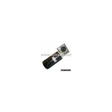 Worm Reducer