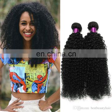 2017 hot sale kinky curly malaysian virgin hair 100 human hair extensions