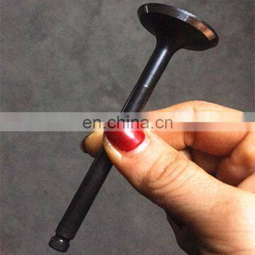 High Quality Chinese Auto Spare Parts For 1007011001-B11-2711J Zotye T600 Intake Valve photo-5