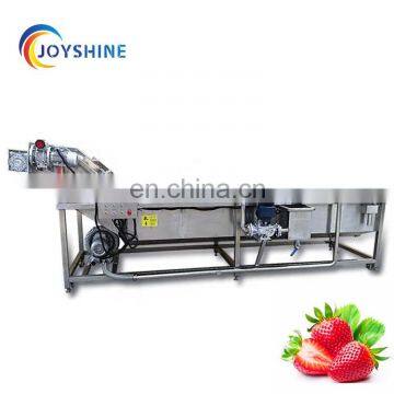Commercial Used Vegetable Washer Leaf Vegetable Bubble Washing Machine With Control Panel photo-7