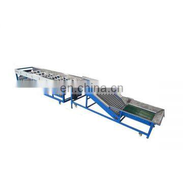 Multifuncion dry cleaning brush roll cleaning onion sorting machine