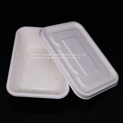 New Hot Disposable Biodegradable 500ML TRAY Bagasse Food Box Take Away Sugarcane Container photo-3