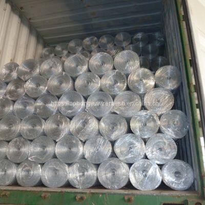 Galvanized Welded Wire Mesh Weldedwiremesh Chickenwirenetting Wire Netting Poultry Fence Poultrymesh Welded Wire Black Wire Black Welded Weldwire photo-4