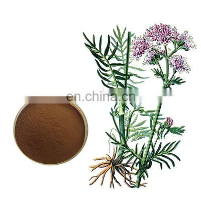 High Quality valeriana root valeriana officinalis root extract powder