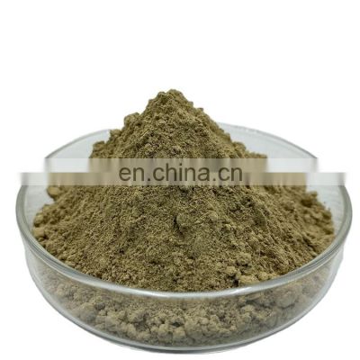 High Quality Scutellaria Baicalensis Extract Powder 98% Baicalin