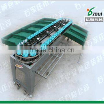 According to Diameter Apple Fruit Sorting Machine photo-6