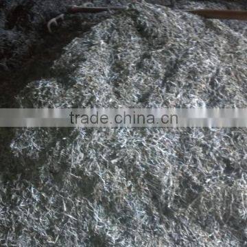 Sun Dried Laminria Japonica, Dried Seaweed Factory In China