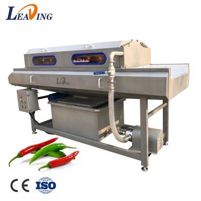 Commercial Brush Washing Machine Food Cleaning Machine Fruit and Vegetables Washing Equipments