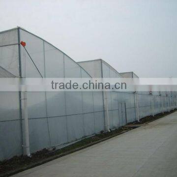 Gutter Connected Greenhouse photo-2