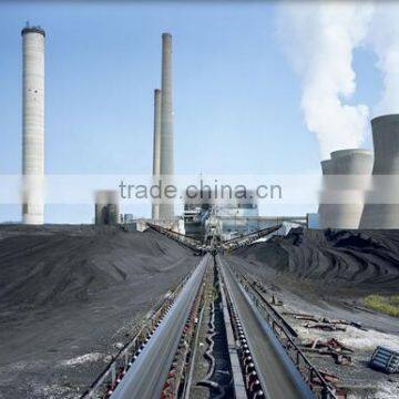 Power plant coal conveying system conveyor belt