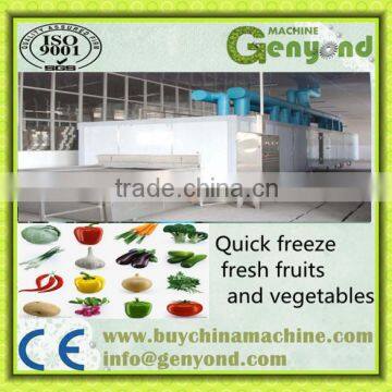 Quick Freezer--Tunnel Freezer