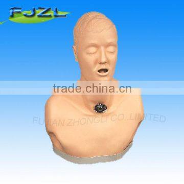 hot sale Adult Tracheotomy Care Simulator model for medical teaching