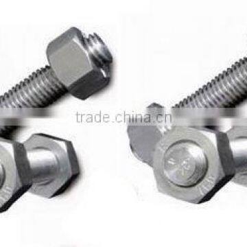 galvanized bolt stainless standard bolt hexagon socket