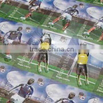 3D embossed poster