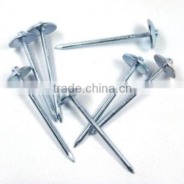 High quality galvanized umbrella roofing nail (manufacturers)