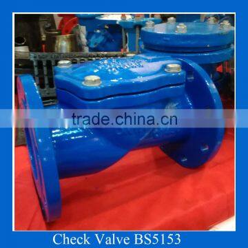 Rubber Flapper check valve BS5163