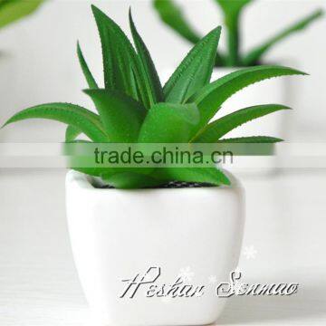 High quality best price artificial succulent plant for decoration