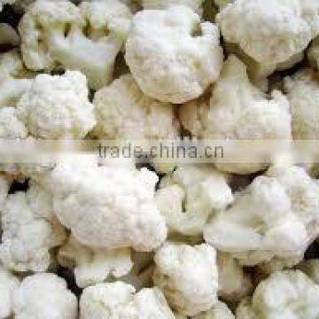 IQF Frozen Cauliflower With Good Quality for Sale