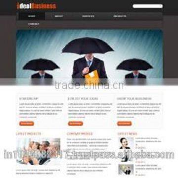 Responsive Website Designing Services India photo-2